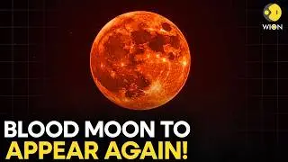 Blood Moon Alert: Get Ready For The First Total Lunar Eclipse Of 2026 &nbsp;| WION Originals