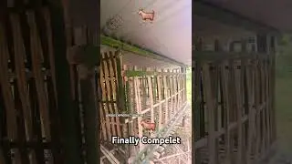 FINALLY COMPELET//GOAT 🐐 HOUSE #@rqueenproduction8788