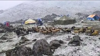 The Best lifestyle of himilayn village during Heavy& snowfall& yarchagumba seasons documentary video
