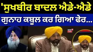Bhagwant Mann on Sukhbir Badal |'Sukhbir Badal ਐਡੇ-ਐਡੇ ਗੁਨਾਹ ਕਬੂਲ ਕਰ ਗਿਆ ਫੇਰ...!'News18 Punjab