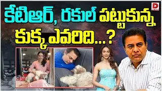 కేటిఆర్, రకుల్ పట్టుకున్న కుక్క ఎవరిది | KTR & Rakul Preet Singh Viral Common Post in Social Media