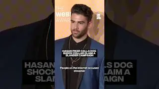 Hasan Piker calls dog shock collar claim a slander campaign #complexnews