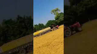 Massey Ferguson 9500 pulling fully loaded 30 feet trolley