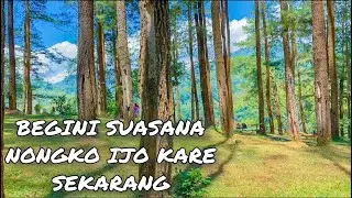 SUASANA NONGKO IJO KARE MADIUN SEKARANG !!!