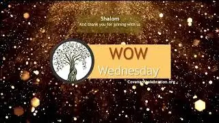WoW Gathering: 6/24/24