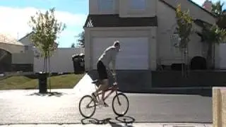 SE Racing P.K. Ripper Team  XLP