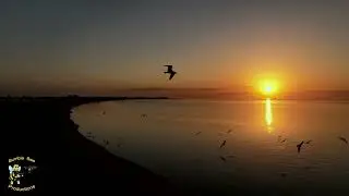 Rockport Beach Sunrise Aerial View  4K