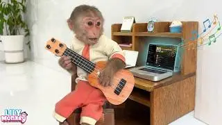 A normal day for Monkey Lily while dad is busy at work