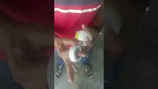Tape Ball Pay Tape Kaisay karay | Wrapped Taping #cricket #shorts #viral #t20worldcup