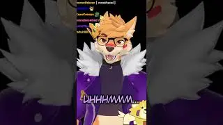 dingo brain.exe has encountered an error uwu #shorts