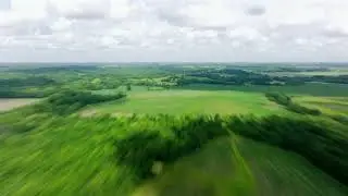 Appanoose County, Iowa 140 +/- Acres - High-Quality Farmland with Strong Income & Excellent Hunting