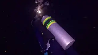 2025   Bonaire Night Dive