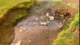 Geothermal pool bubbling