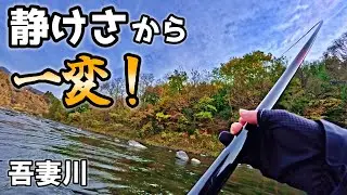 寒さで厳しい冬…餌をゆーっくり流していると…？