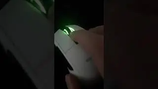 best mouse on the market