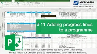 Adding progress lines to a programme - MSP quick tip # 11