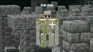 El Warden pero en la 1.17.1(Volatik Network) - Minecraft