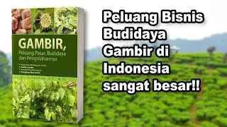 Bagaimana sih cara budidaya Gambir? |#Ulasbukudeepublish Eps 153