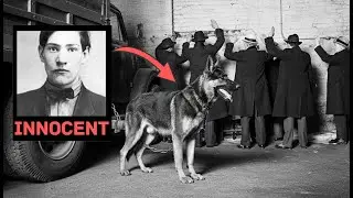 Highball: the only witness of Al Capone's garage killing