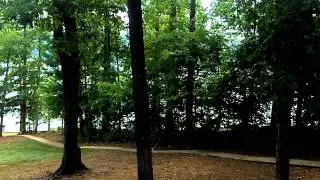 Lake Sinclair view from Shore Dreams Vacation Rentals