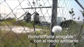 Entrevista al Coordinador de la Red de Cempoalx&oacute;chitl del SNICS