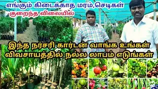 Best plant Nursery Garden GSR SONS krishnagiri | low price Nursery in tamil | Nursery cultivation