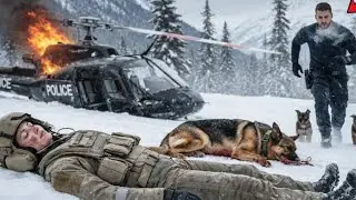 A Pilot Officer, a Dying K9, and a Blizzard  One Navy SEAL Refused to Walk Away&rdquo;