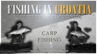 Fishing in Croatia-Waters of Slavonia,  Carp Fishing FULL MOVIE