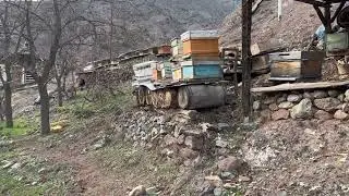 Farklılıklarımız Zenginliğimizdir +Arıların İlkb. Bakm. Yaptık. (14/03/2023) 7.34 den sonra hrks ilg