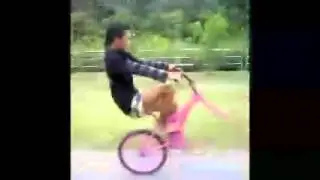 LANUN HELL D A