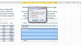 Calcul du khi deux (khi carré) sous Excel 2010 (ou Excel 2007)