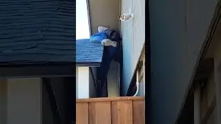 Reparando techo