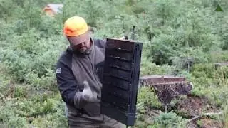 Lapače, lapáky a feromony na kůrovce - instruktážní video L.E.S. CR 2020