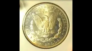 MS-65 Morgan Silver Dollar, First Look