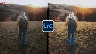 Free Lightroom Preset & Profile - Matte Color