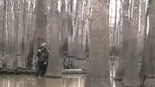 Dick Reed duck calling.wmv