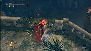 다크 소울 리마스터 PVP 56 (Dark Souls Remastered)