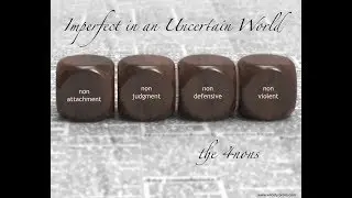 Imperfect in an Uncertain World: The 4Nons
