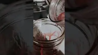 Aesthetic Strawberry 🍓 Drink #aesthetic #shorts #trending #tutorial