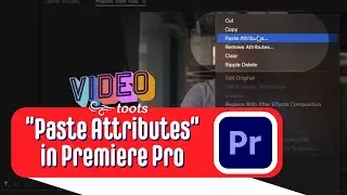 Paste Attributes in Premiere Pro - Video Toots Episode #2