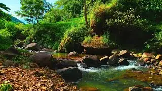 🔴 01/20 💎 PRISTINE HEADWATERS | Premium Mountain River Sound Collection Sound Experience