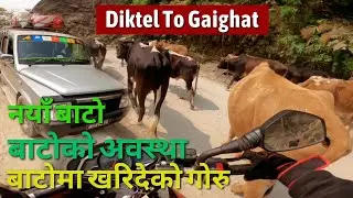 चार घण्टामा गाईघाट  | Travel Vlog | New Way @pabanraivlogs