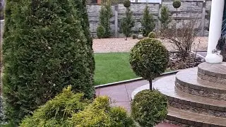 Ланшафтные композиции / Landscape design