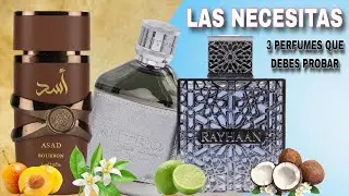 3 PERFUMES ECONOMICOS QUE DEBES TENER
