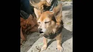 Lady has plsns