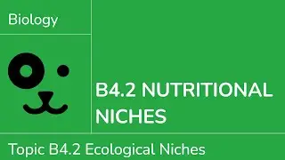 B4.2 Пищевые ниши [IB Biology SL/HL]