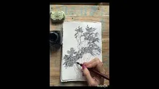 intricate tree in ink illustration#TreeDrawing #PenAndInkArt #LineArt #Inktober #BlackAndWhiteArt
