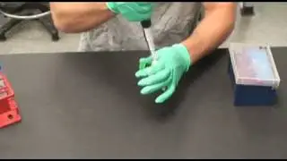 Bacterial Transformation-Plasmid Prep (Part 1)
