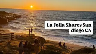 La Jolla Shores Beach San Diego California 2026 🦭