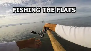 Lure Fishing the Grass Flats of Jamaica
